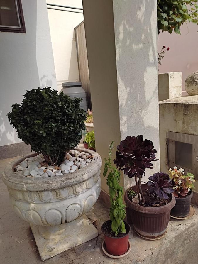 Apartman Lora Budva Dış mekan fotoğraf