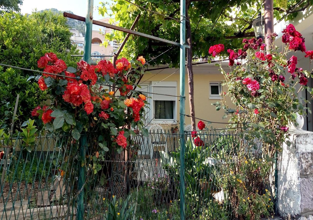 Apartman Lora Budva Dış mekan fotoğraf