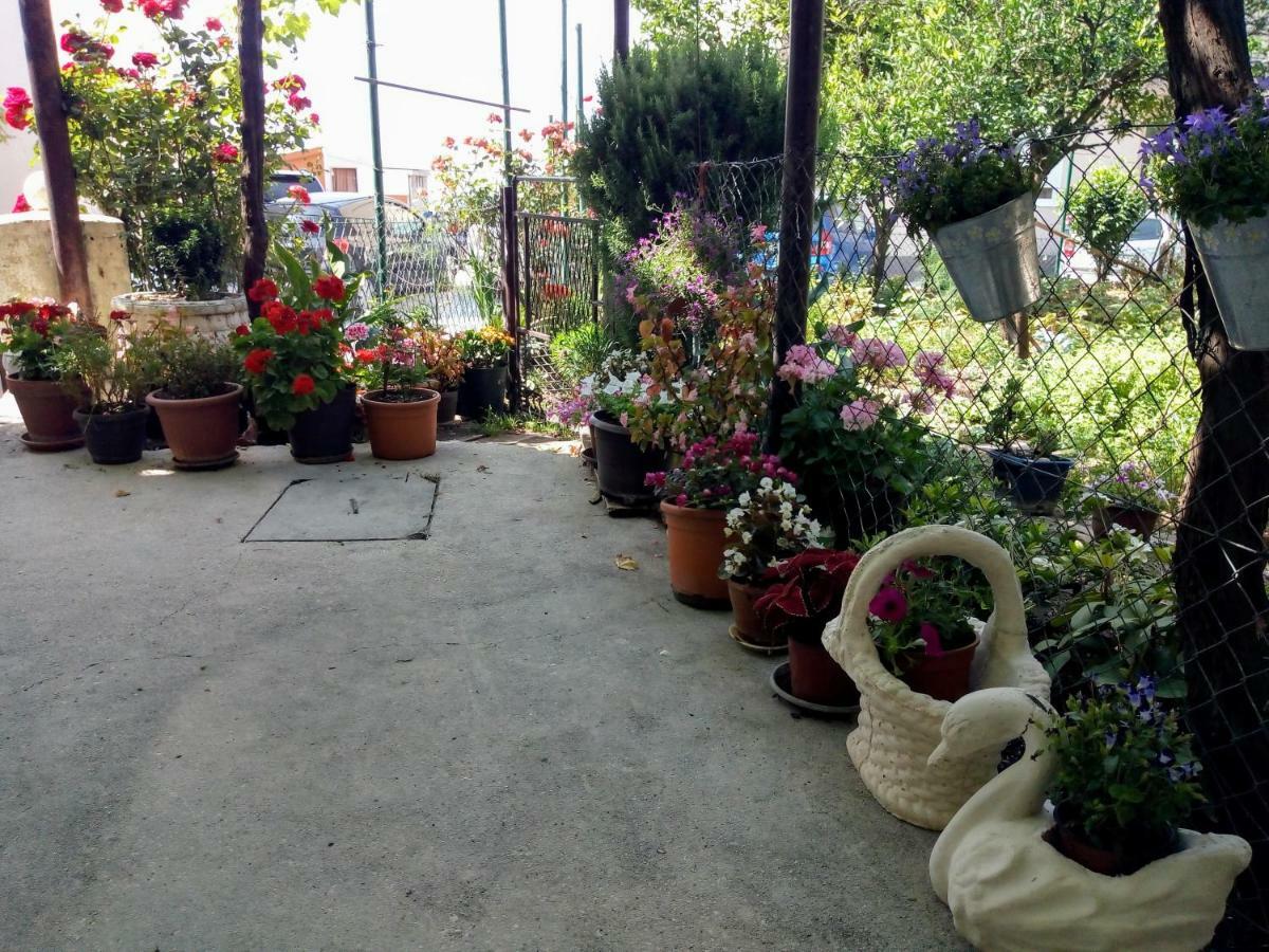 Apartman Lora Budva Dış mekan fotoğraf
